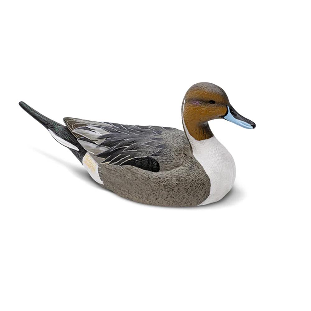 Pintail Decoy Six-Pack EVA