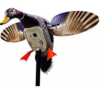 MOJO ES -Mini Mallard Drake