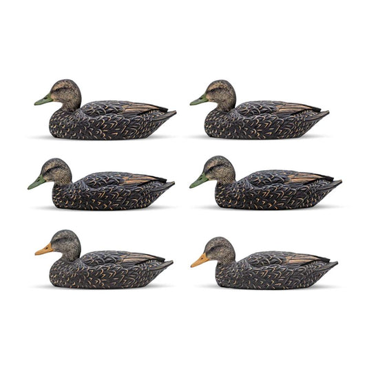 Black Duck Decoy Six-Pack  EVA