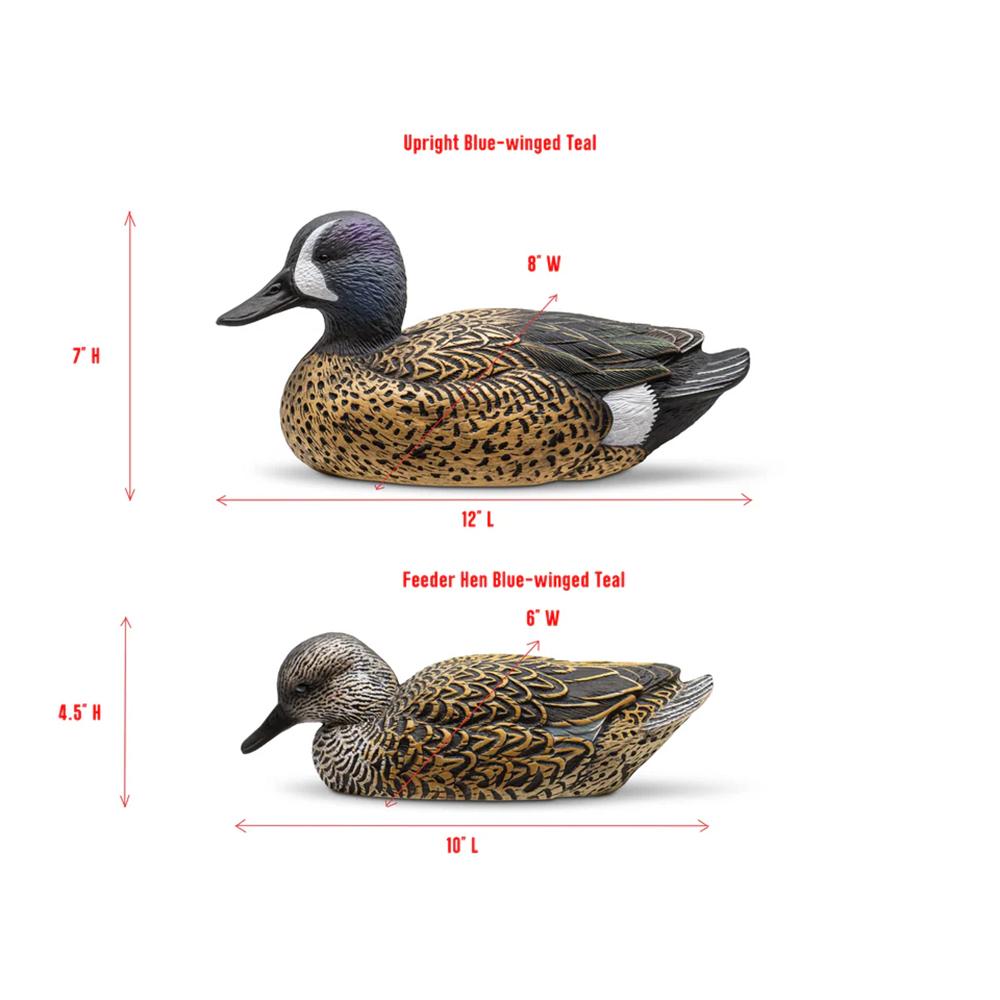 Rig Em Right Blue-Winged Teal - Twelve Pack - EVA
