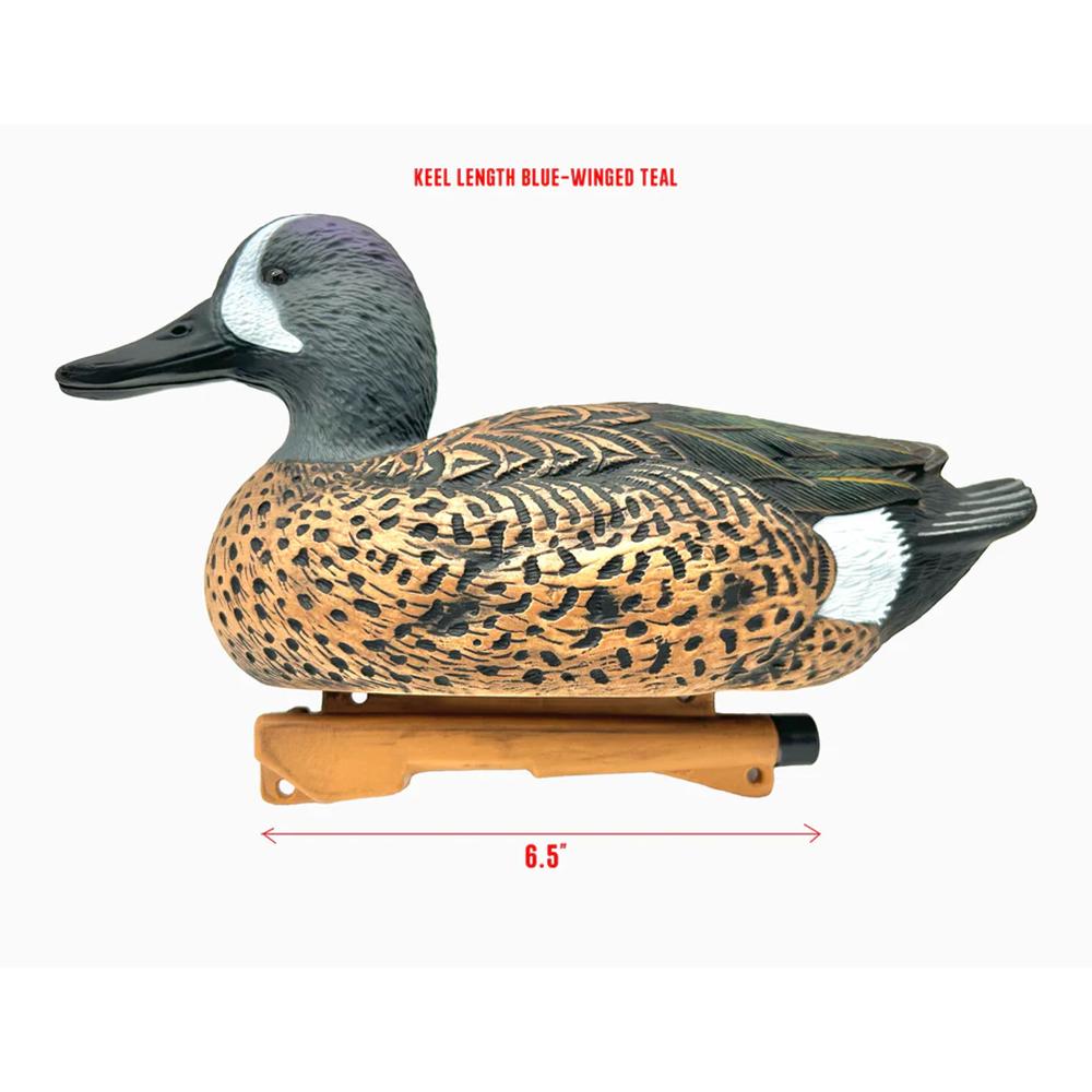 Rig Em Right Blue-Winged Teal - Twelve Pack - EVA
