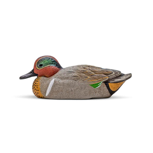 Green-Winged Teal Decoy Twelve-Pack  EVA
