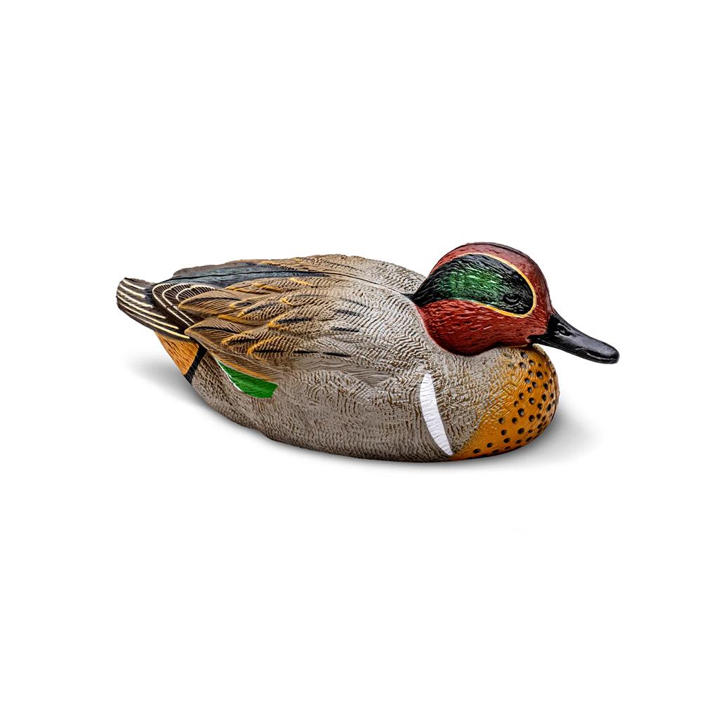 Green-Winged Teal Decoy Twelve-Pack  EVA