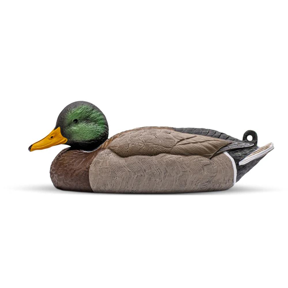 Mallard Decoy Six-Pack  EVA