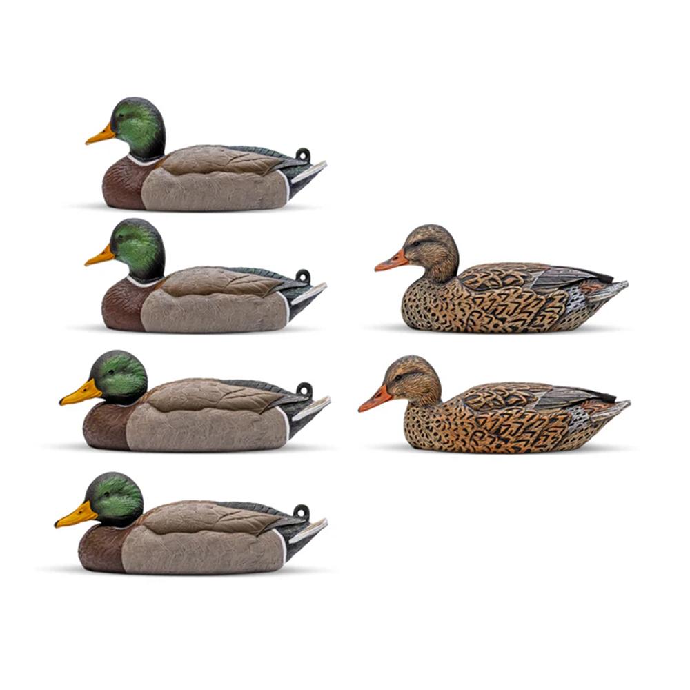 Mallard Decoy Six-Pack  EVA