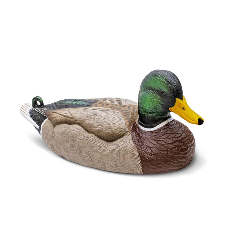 Mallard Decoy Six-Pack  EVA