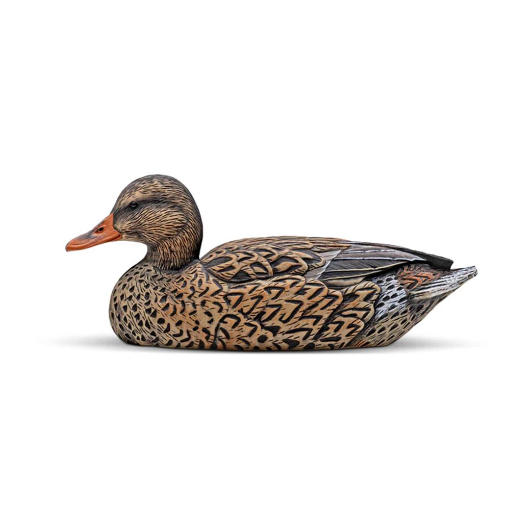 Mallard Decoy Six-Pack  EVA