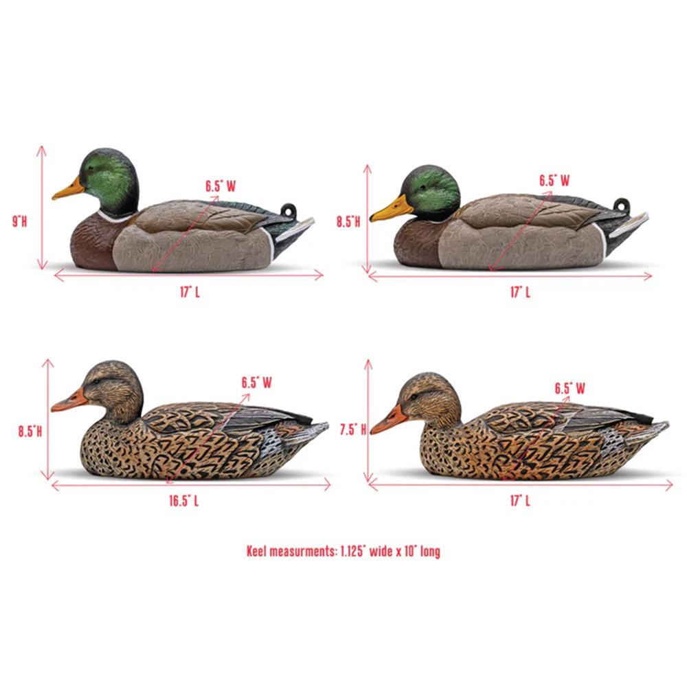 Mallard Decoy Six-Pack  EVA