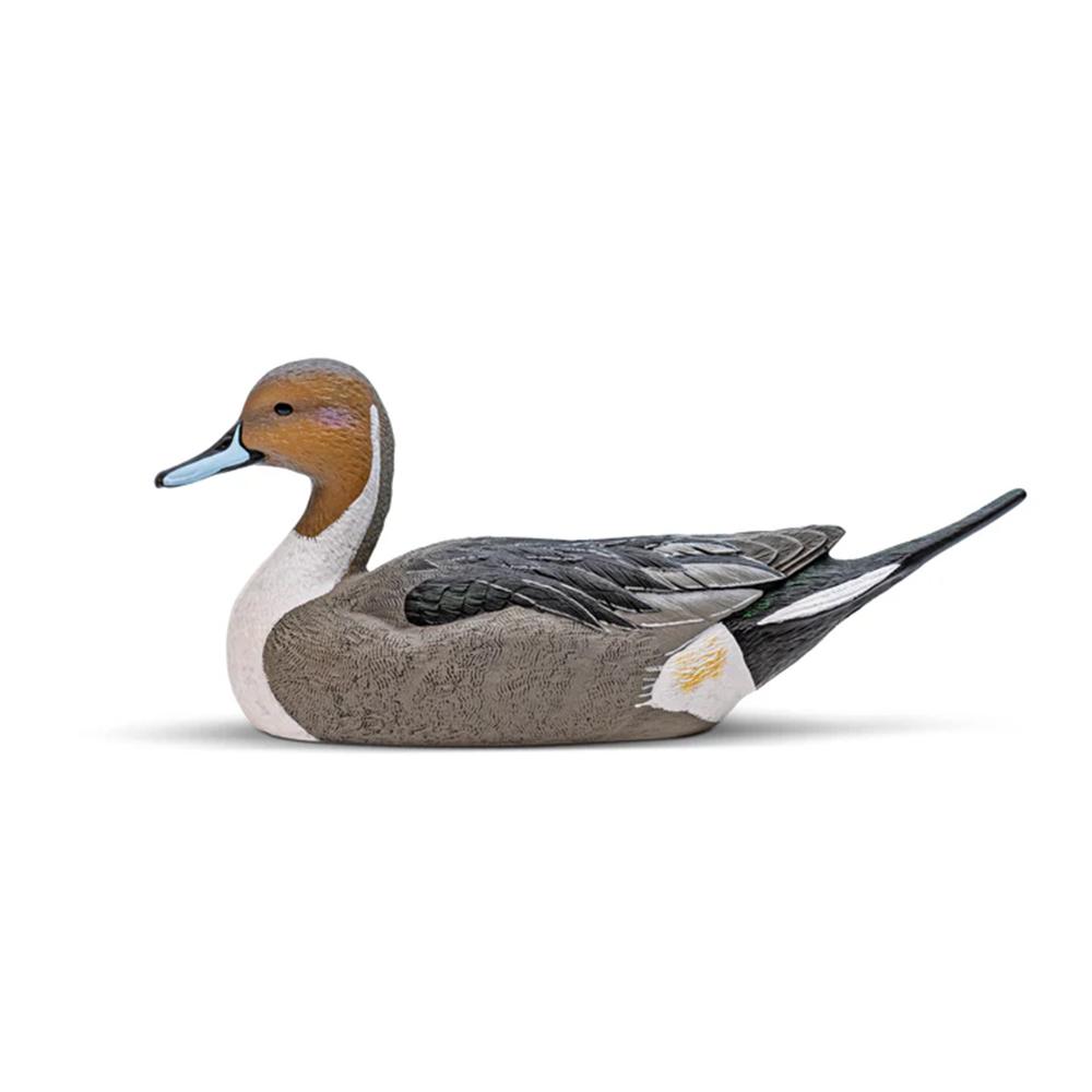 Pintail Decoy Six-Pack  EVA