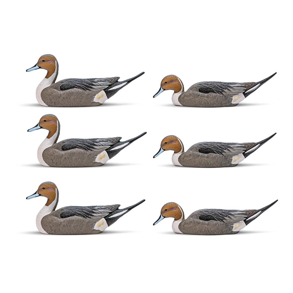 Pintail Decoy Six-Pack  EVA