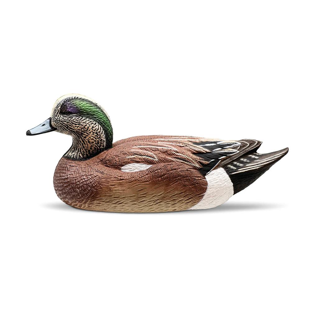 Rig Em Right Wigeon - Six Pack - EVA