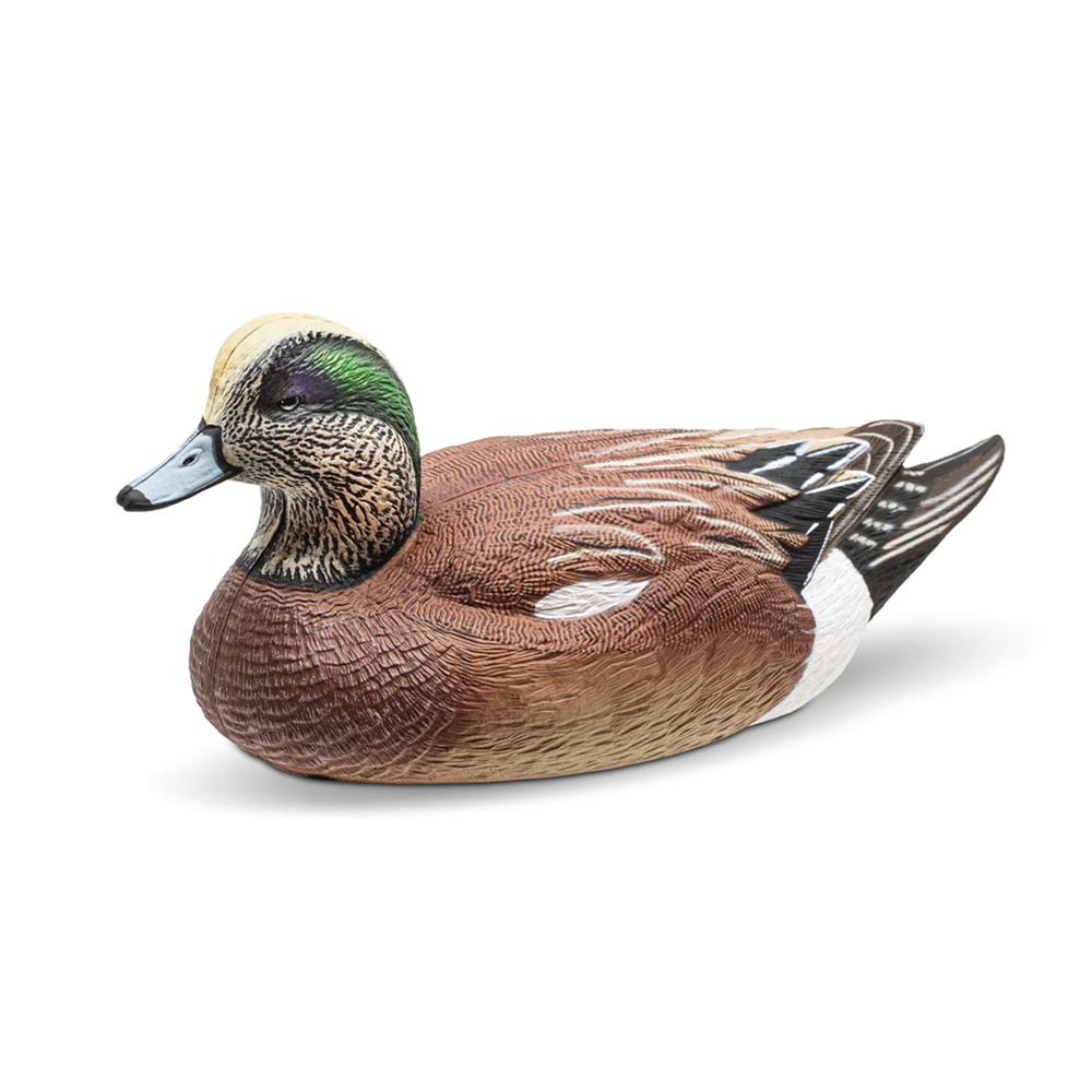 Rig Em Right Wigeon - Six Pack - EVA