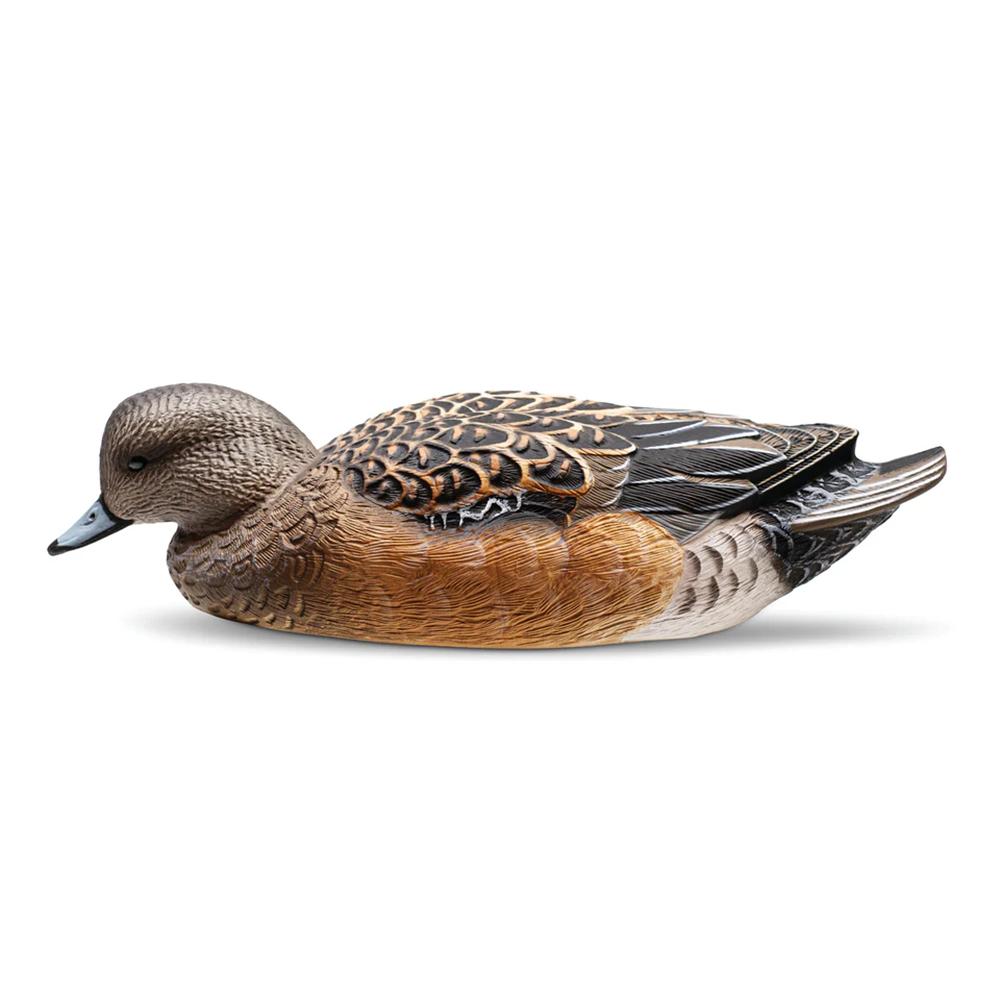 Rig Em Right Wigeon - Six Pack - EVA