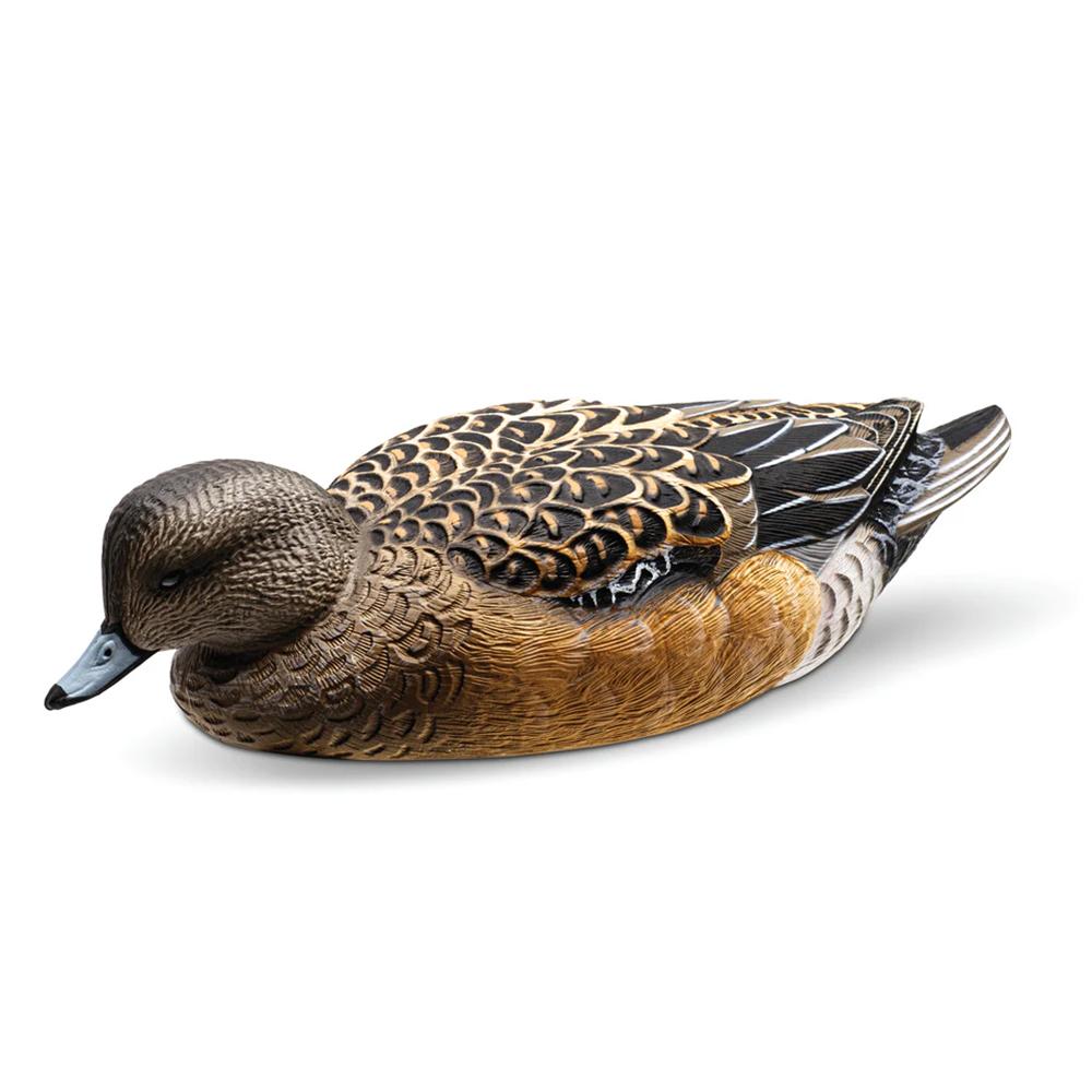 Rig Em Right Wigeon - Six Pack - EVA