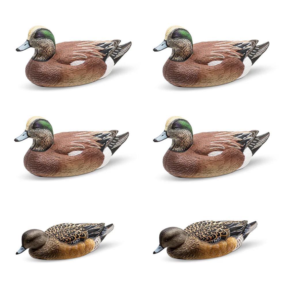 Rig Em Right Wigeon - Six Pack - EVA