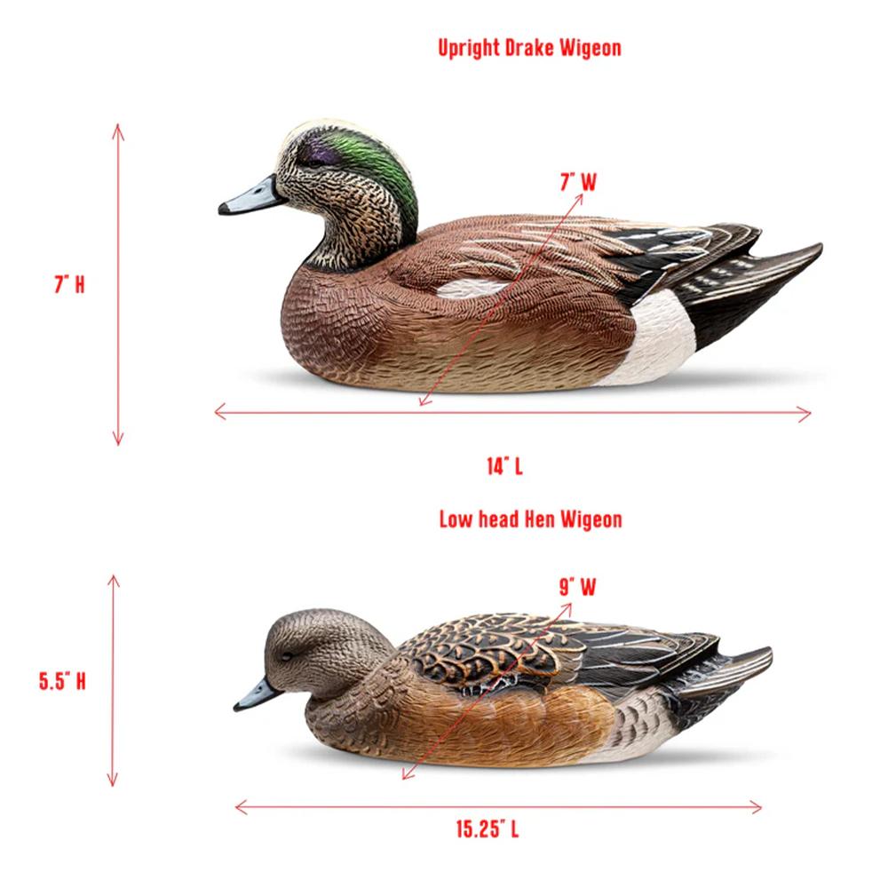 Rig Em Right Wigeon - Six Pack - EVA