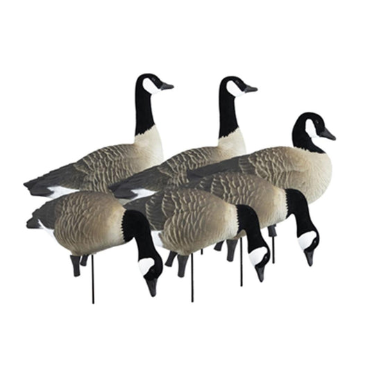 Higdon Outdoors APEX Full-Size Full-Body Variety Pk Canada
